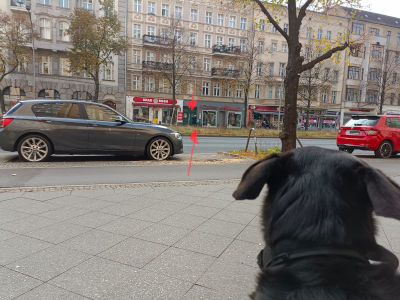 Farbfoto von Ralfs Hund Matschek, Erwin Thomasius und dem Geschäft für Gebrauchte Bücher SPAR BUCH. Im Oktober 2024. Fotograf: Ralf Splettstößer.