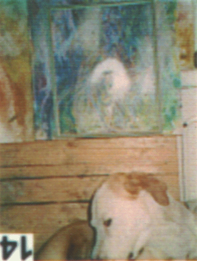 Ralf Spelttstößers Hund Ganesh vor einem von Ralf Splettstößer gemalten Gemälde in Ralfs Wohnung im Bezirk Friedrichshain in Berlin im Jahr 2004.