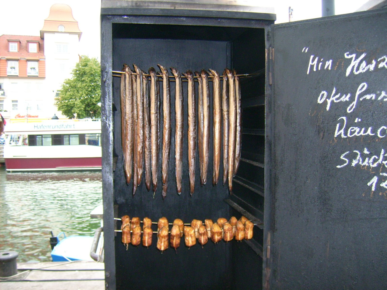 Farbfoto: Aale in Warnemünde im Juni des Jahres 2009. Fotograf: Bernd Paepcke.