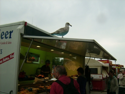 Verkauf von Fischbrötchen in Warnemünde im Jahre 2009. Fotograf: Bernd Paepcke.