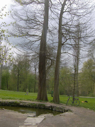 Farbfoto: Die künstlich gefasste Läutraquelle im Park an der Ilm in Weimar im April des Jahres 2012. Fotograf: Bernd Paepcke.